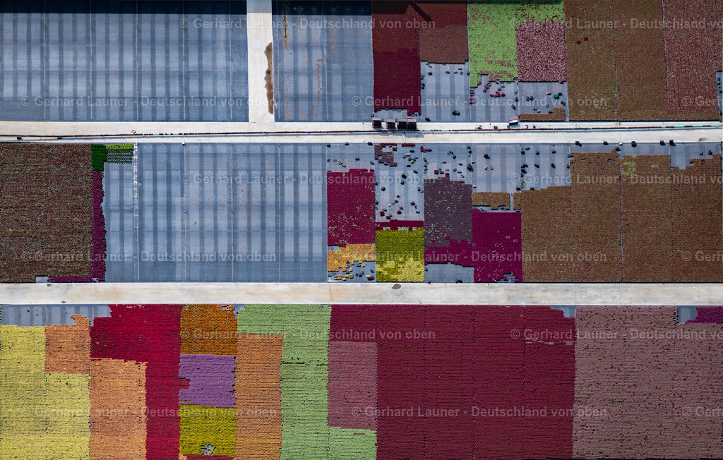 3806302 | Gärtnerei Knaup, Röthlein