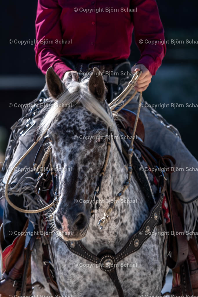 HOB09252 | BS-foto