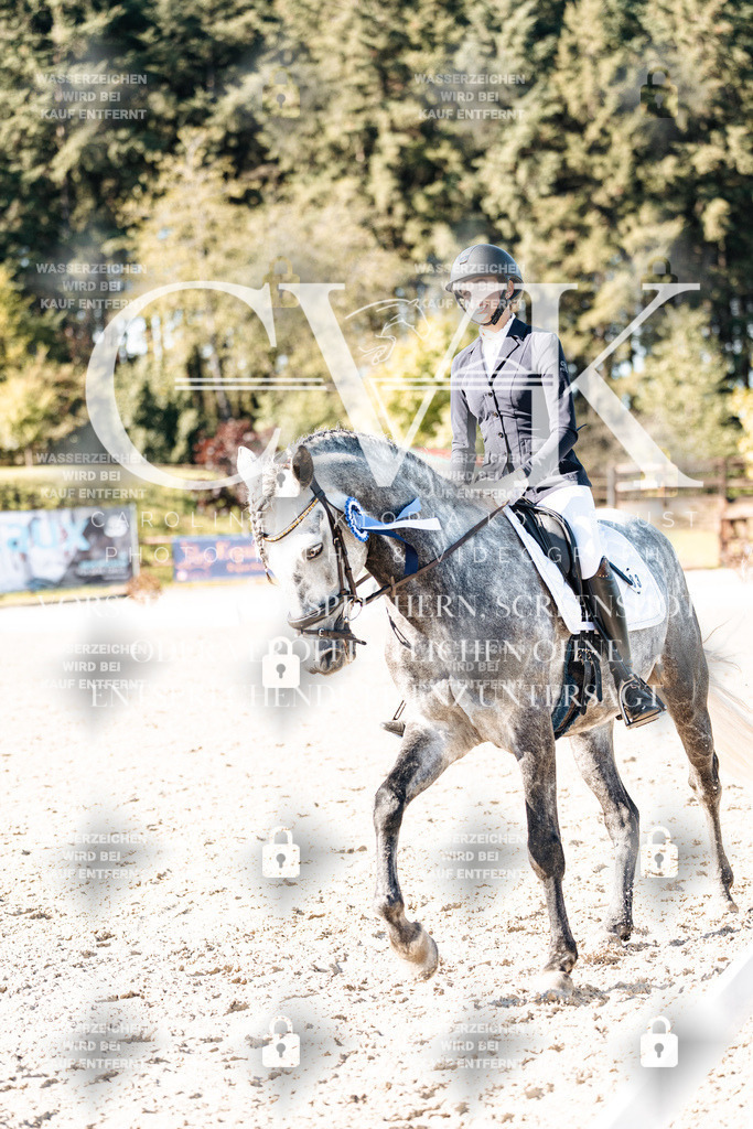CK908499 | Turnierfotografie Pferdefotografie Trier Rheinland-Pfalz Pferdesport Reitsport Tierfotografie Sportfotografie Pferdevideo Pferdevideografie Equestrianvideography equestrianphotography  - Realisiert mit Pictrs.com