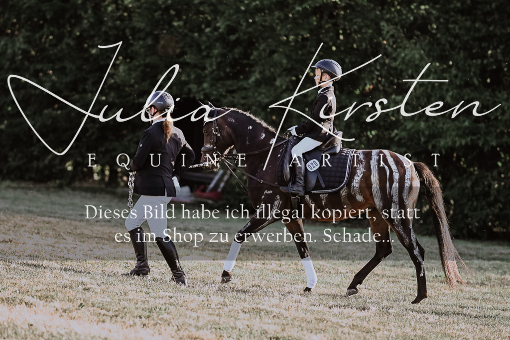 DSC_0206 | Pferde- und Turnierfotografie in Westsachsen. Pferdeportraits, Auftragszeichnungen und intuitive Kunst.