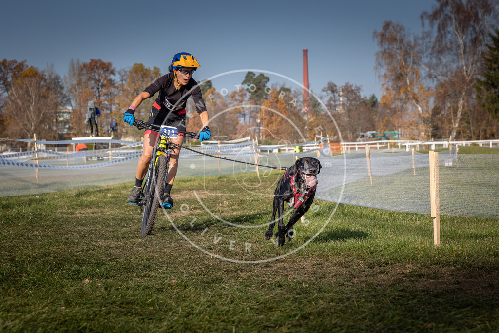 CaniXpix_0L8A7138 | Hundefotografie, Tierfotograf, Pfotenfotografie, Fotoshooting Hund, Hunde Portrait, Hundesport, Hundeportraits, Heideshooting, Hunde, Sportfotograf, Hundefotograf, Turnierhundsport, THS,  - Realisiert mit Pictrs.com