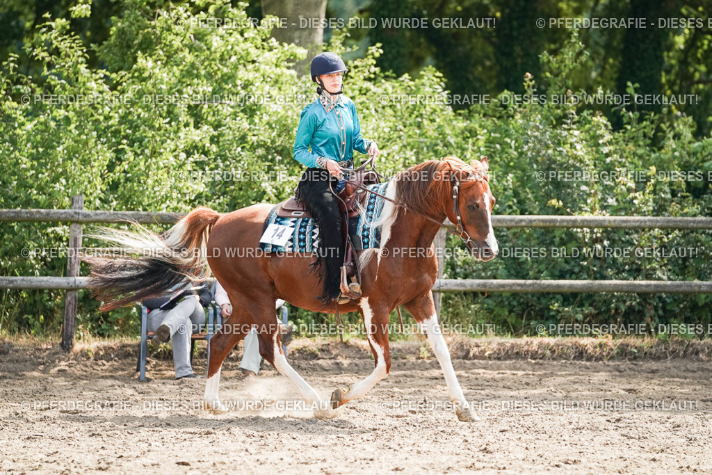 DSC04851 | Pferdegrafie