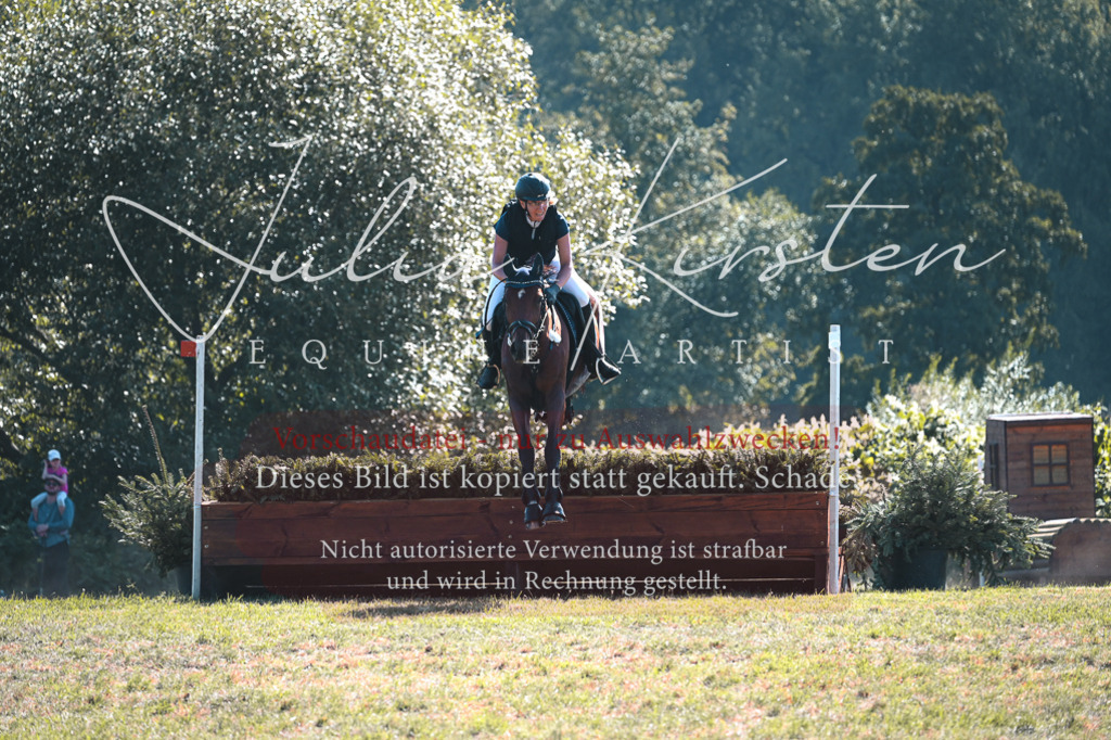 DSC_7880 | Pferde- und Turnierfotografie in Westsachsen. Pferdeportraits, Auftragszeichnungen und intuitive Kunst.
