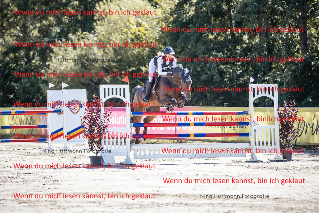 BK1A6801 | Turnierbilder Turnierfotos Nina Hüffmann Turnierfotografie Pferdefotografie Tierzeichnung Haustierzeichnung Pferdezeichnung Hundezeichnung Videograf  - Realisiert mit Pictrs.com