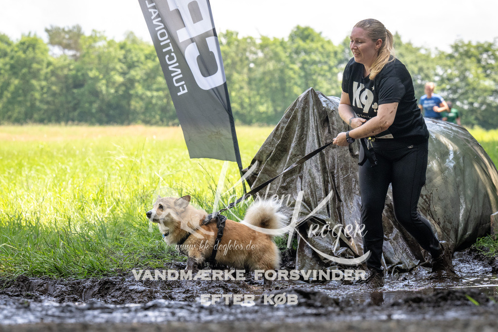 1201_ZZ91009 | kk-dogfotos