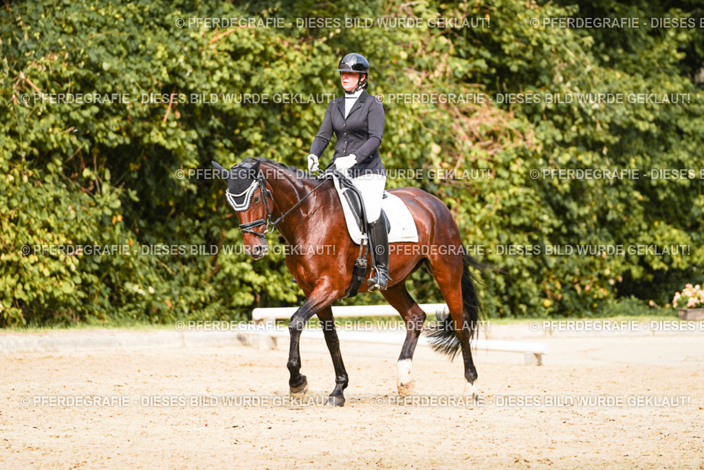 DSC03579 | Pferdegrafie