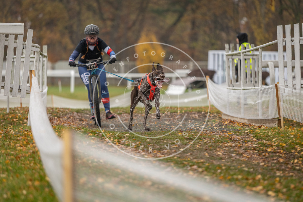 CaniXpix_DV3A8297 | Hundefotografie, Tierfotograf, Pfotenfotografie, Fotoshooting Hund, Hunde Portrait, Hundesport, Hundeportraits, Heideshooting, Hunde, Sportfotograf, Hundefotograf, Turnierhundsport, THS,  - Realisiert mit Pictrs.com
