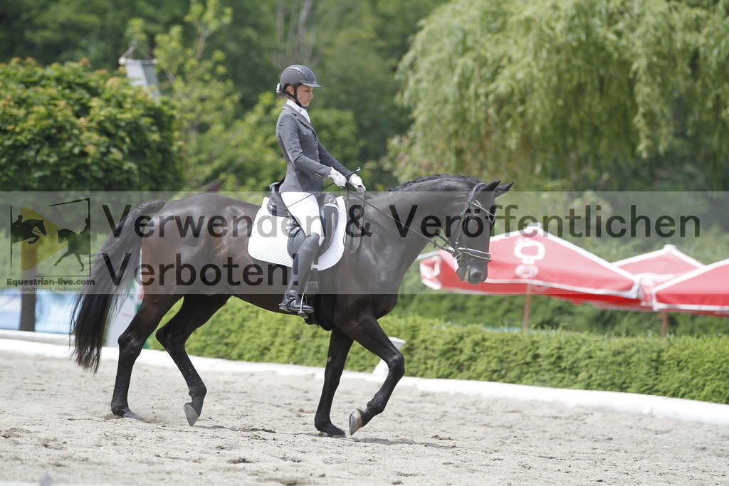 _MG_9129 | equestrian-live-com