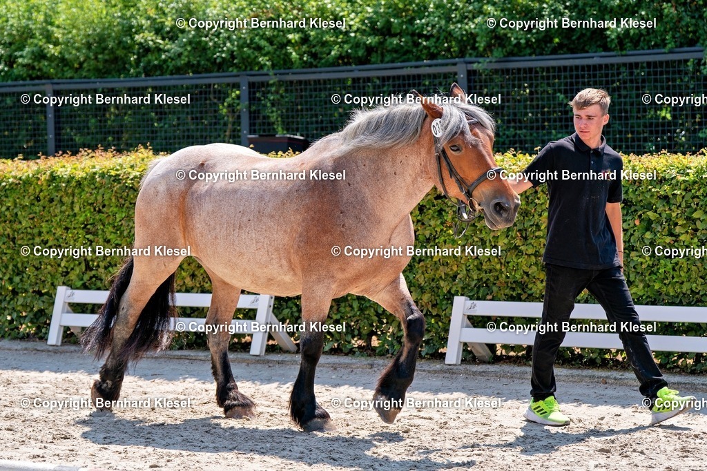 2A900657 | foto-team-bernhard - Realisiert mit Pictrs.com