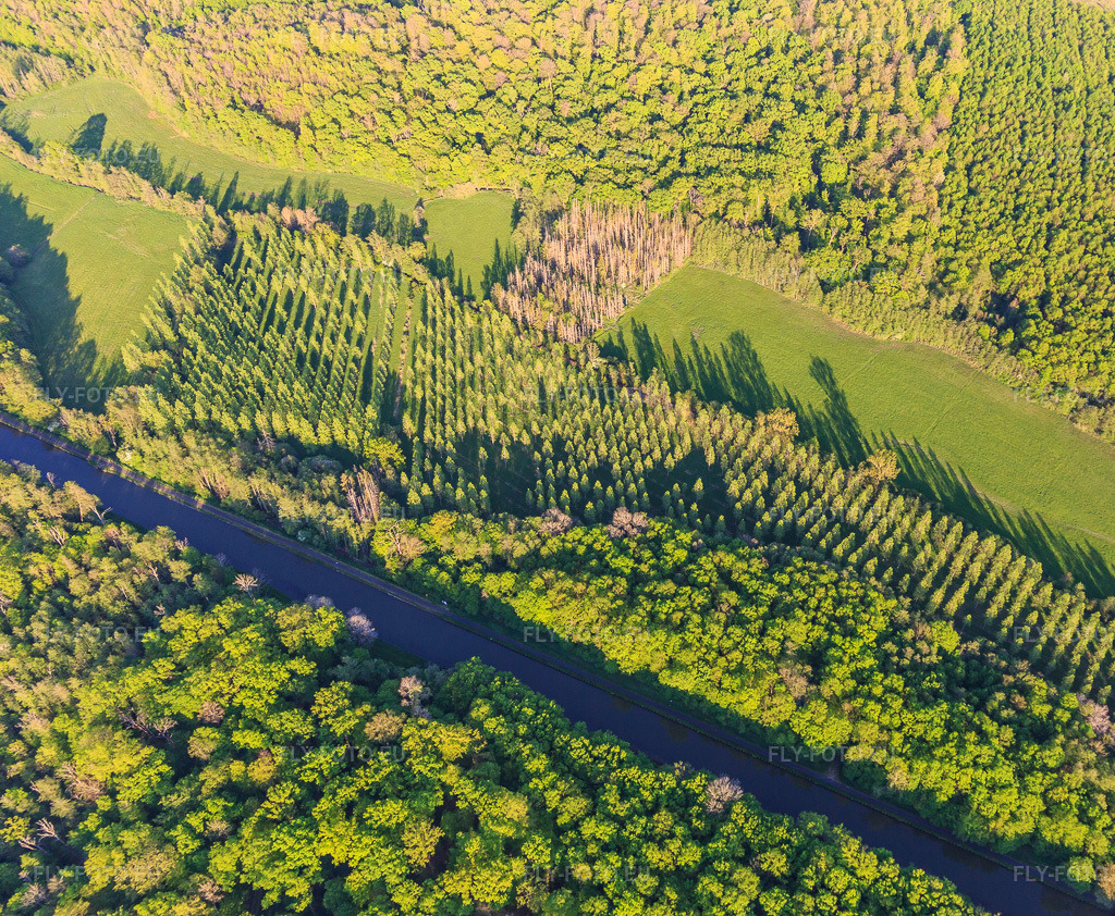 Vue aérienne: Peuplierraie dans une clairière au bord du canal des houllères de la Sarre à Vibersviller dans le département Moselle, France. Photo: IMG_146139.jpg prise le 01/05/2025 par Werner Riehm/FLY-FOTO.eu – Résolution de l'original: 4435 x 3648 px
