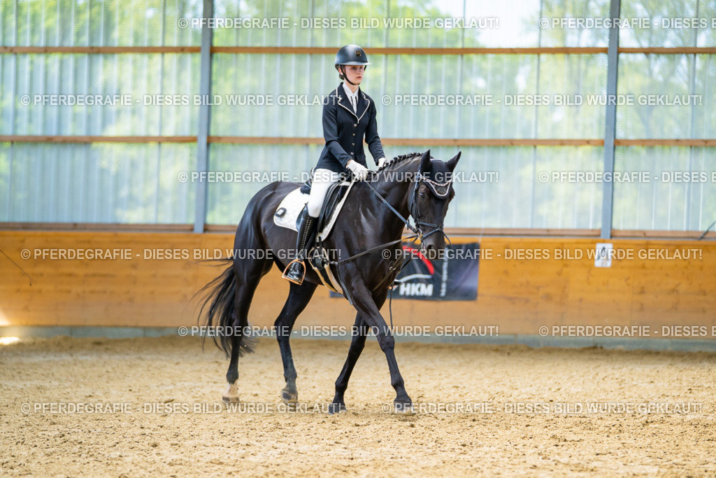 DSC09305 | Pferdegrafie