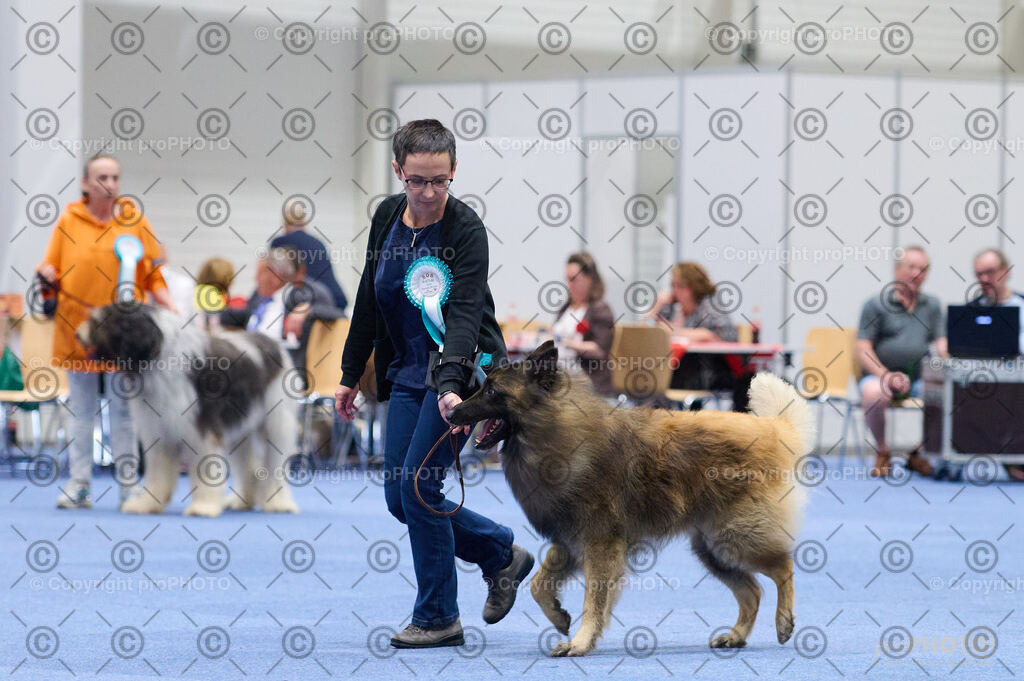 202406_ÖKV-IHA-Tulln24_DSC_2882 | proPHOTO - Realisiert mit Pictrs.com