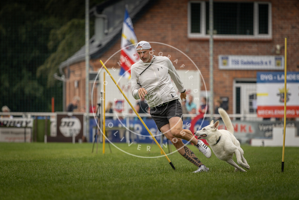Pfotenfotografie_DV3A8083 | Hundefotografie, Tierfotograf, Pfotenfotografie, Fotoshooting Hund, Hunde Portrait, Hundesport, Hundeportraits, Heideshooting, Hunde, Sportfotograf, Hundefotograf, Turnierhundsport, THS,  - Realisiert mit Pictrs.com