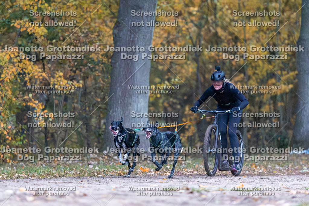 Dog Paparazzi - SD CaniX Championship 2025-5 | Dog Paparazzi Jeanette Grottendiek Fotografie & Videografie - Realisiert mit Pictrs.com