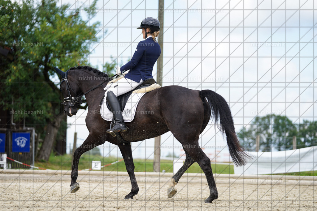 20230826-FAH05668 | Forstinning, 2023, Dressurturnier, Turniersportbilder, Turnierfotografen Bayern, Fotoagentur Herrmann, Reitsportfotografie, Turnierbilder