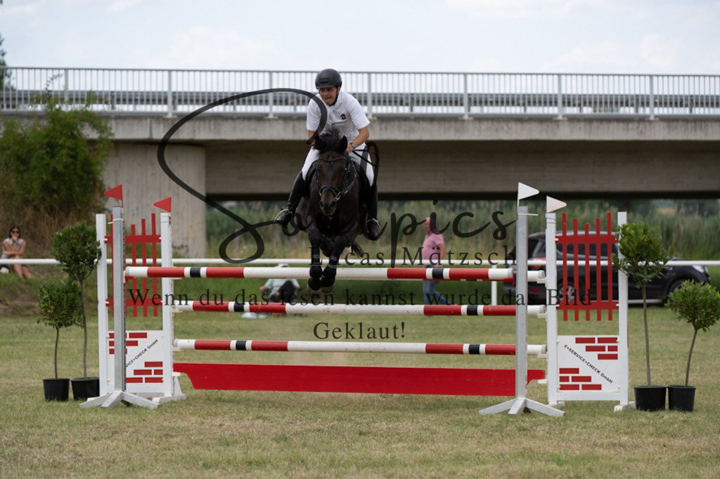 A7V02533 | Pferdefotograf