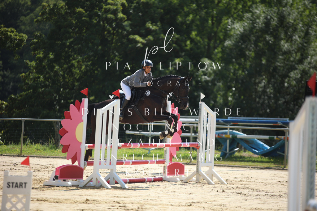 IMGM4009 | pl-fotografie