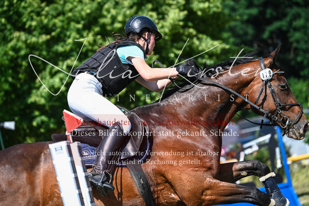 DSC_1487 | Pferde- und Turnierfotografie in Westsachsen. Pferdeportraits, Auftragszeichnungen und intuitive Kunst.