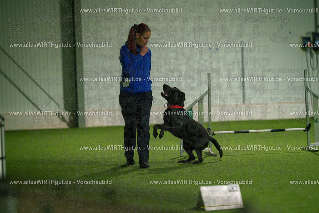 7R508472 | Professionelle Tierfotografie in Mönchengladbach von Daniel Wirth (allesWIRTHgut). Liebevolle & natürliche Bilder von Hunden & Katzen für unvergessliche Erinnerungen.