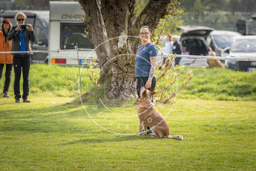 Pfotenfotografie_DV3A4974 | Hundefotografie, Tierfotograf, Pfotenfotografie, Fotoshooting Hund, Hunde Portrait, Hundesport, Hundeportraits, Heideshooting, Hunde, Sportfotograf, Hundefotograf, Turnierhundsport, THS,  - Realisiert mit Pictrs.com