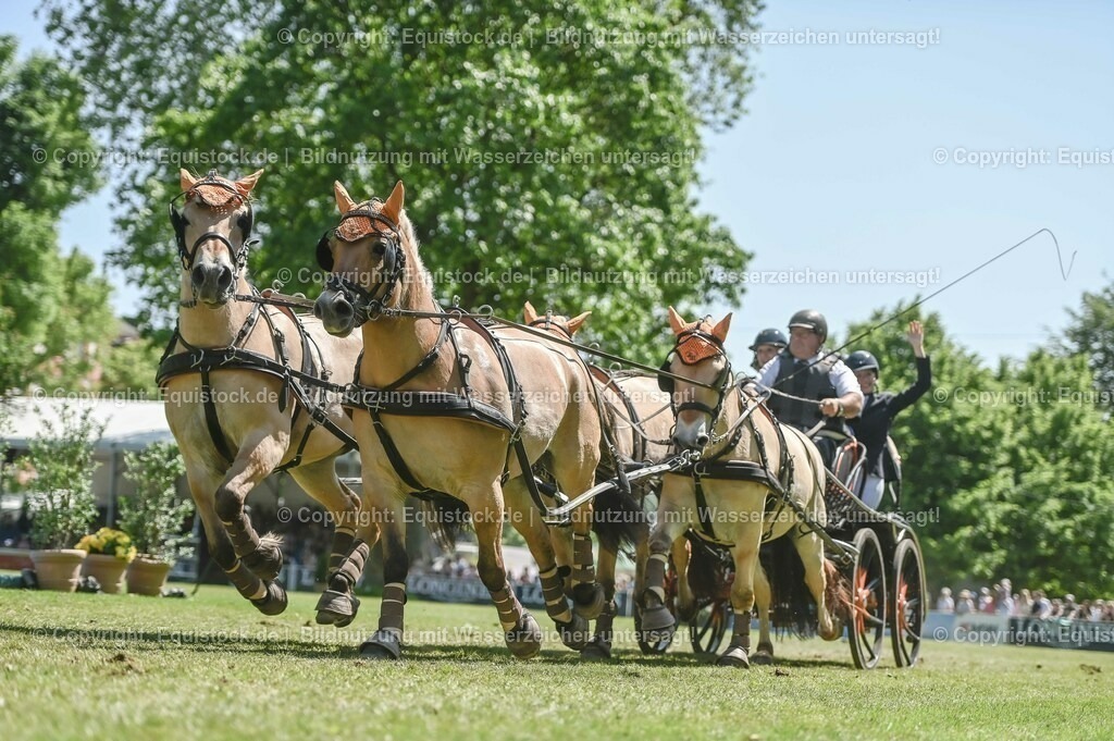 20230528_Jump-and-Drive_0297 | equistock