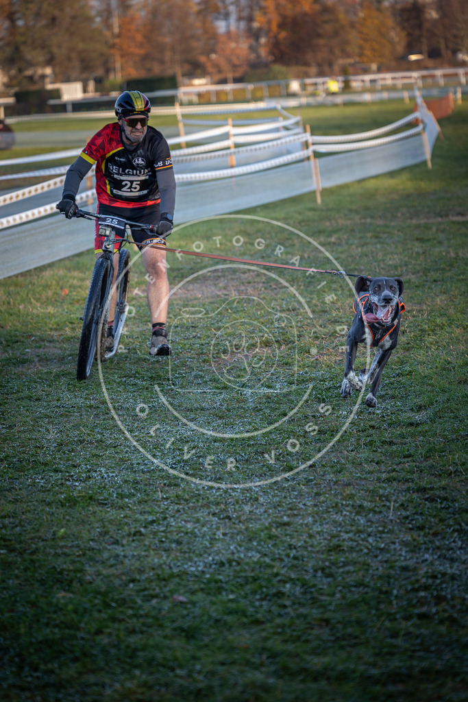 CaniXpix_0L8A1738 | Hundefotografie, Tierfotograf, Pfotenfotografie, Fotoshooting Hund, Hunde Portrait, Hundesport, Hundeportraits, Heideshooting, Hunde, Sportfotograf, Hundefotograf, Turnierhundsport, THS,  - Realisiert mit Pictrs.com