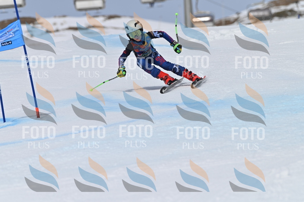 BGV_5501 | holidayphoto