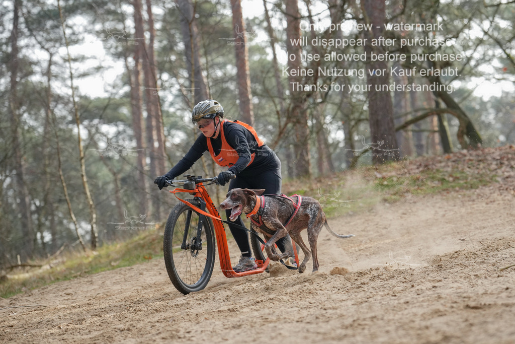 Scooter2-16 | stephaniefillaphotographie - Realisiert mit Pictrs.com