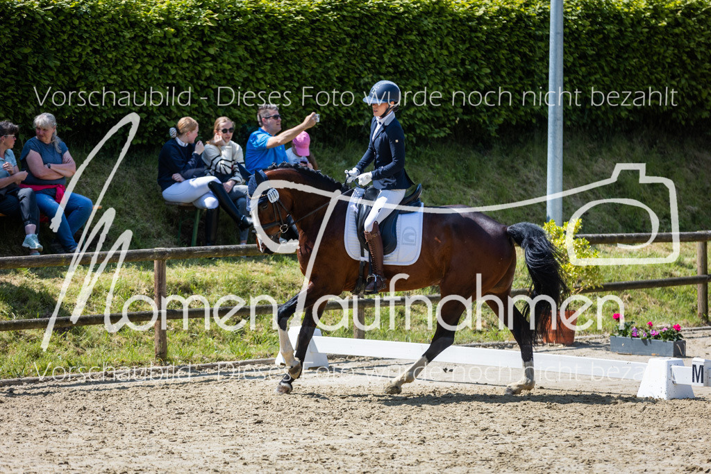 Donop24-L-Dre-097 | MomenTaufnahmen Pferdesportfotos