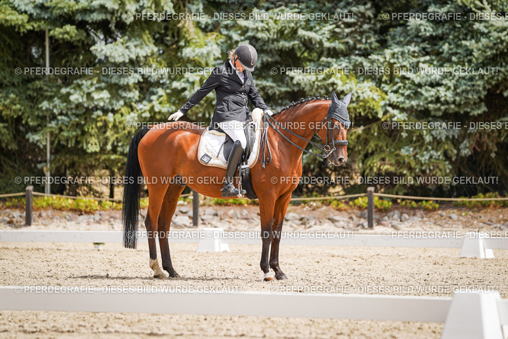 DSC03320 | Pferdegrafie