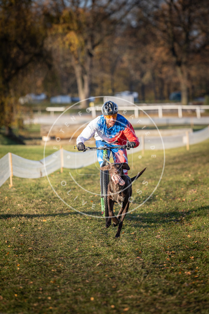 CaniXpix_DV3A0688 | Hundefotografie, Tierfotograf, Pfotenfotografie, Fotoshooting Hund, Hunde Portrait, Hundesport, Hundeportraits, Heideshooting, Hunde, Sportfotograf, Hundefotograf, Turnierhundsport, THS,  - Realisiert mit Pictrs.com