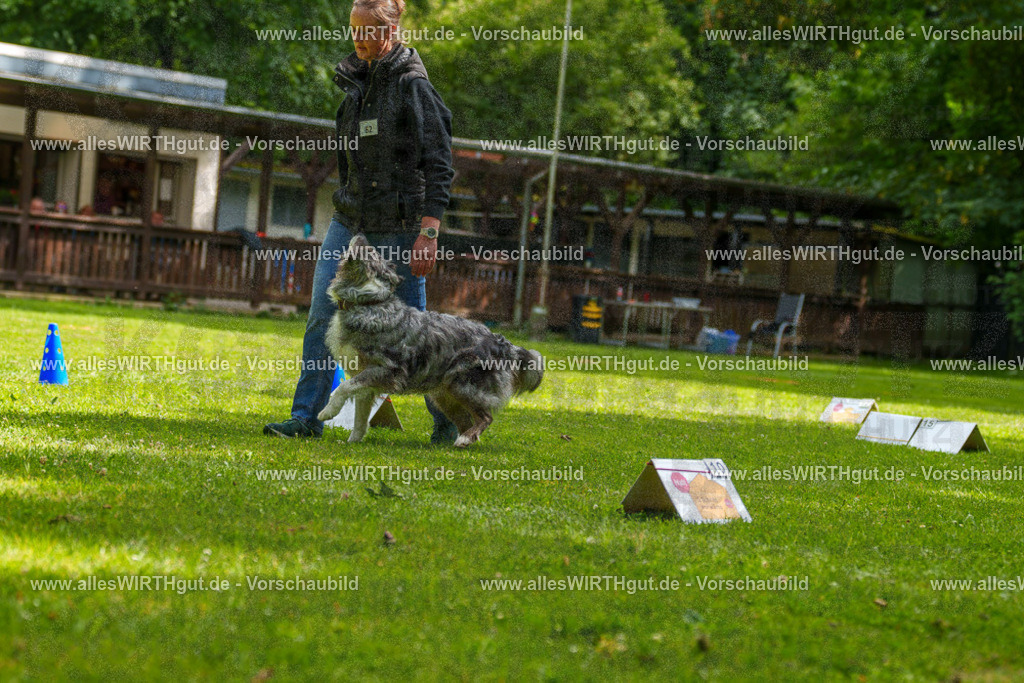 @allesWIRTHgut_Tierfotografie - www.allesWIRTHgut.de - 7R502119 | Professionelle Tierfotografie in Mönchengladbach von Daniel Wirth (allesWIRTHgut). Liebevolle & natürliche Bilder von Hunden & Katzen für unvergessliche Erinnerungen.