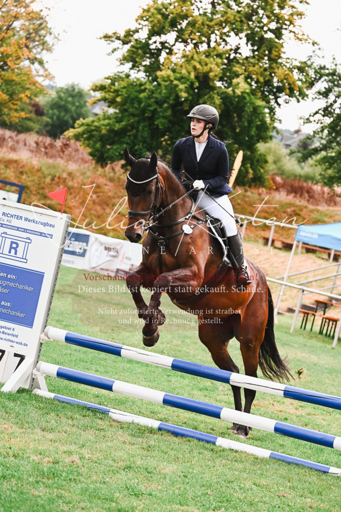 DSC_6000 | Pferde- und Turnierfotografie in Westsachsen. Pferdeportraits, Auftragszeichnungen und intuitive Kunst.