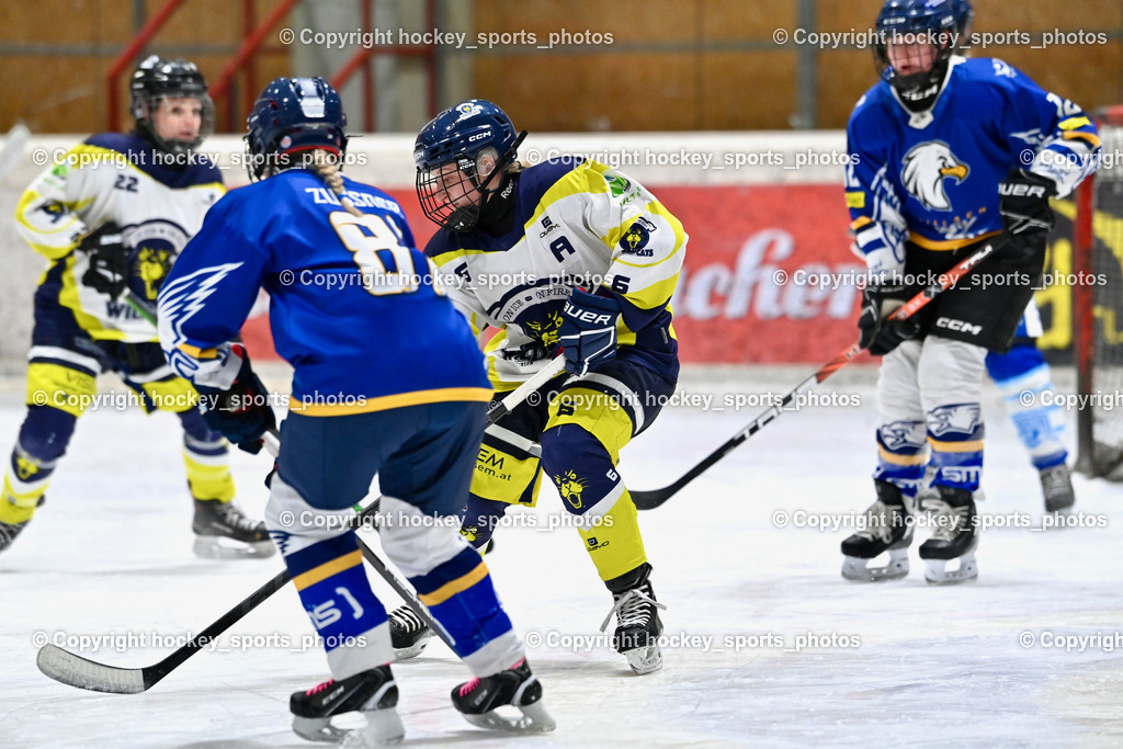 Wildcats Paternion vs. Lady Hawks  | #6 Jelovcan Selina WILDCATS PATERNION, Wildcats Paternion vs. Lady Hawks , Wildcats Paternion vs. Lady Hawks  am 27.01.2025 in Spittal an der Drau (Eissportzentrum Spittal), Austria, (Photo by Bernd Stefan)