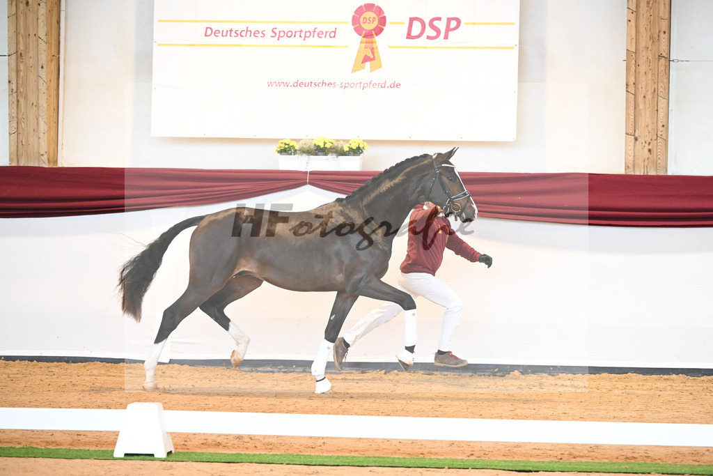 Kat-Nr. 31 v. Ferrantino_Lehner_66221792 | hf-fotografie - Realisiert mit Pictrs.com