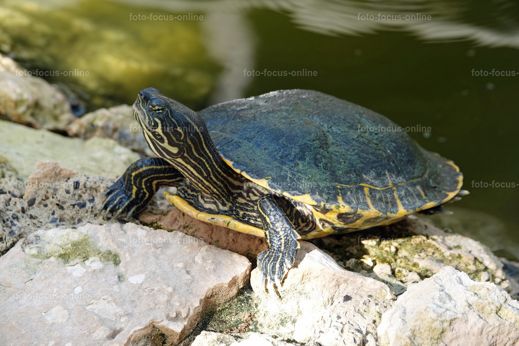 40 | foto-focus-online