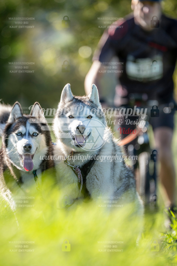 MompixPhotography_20TSB_E3_DS2-56 | PayLife