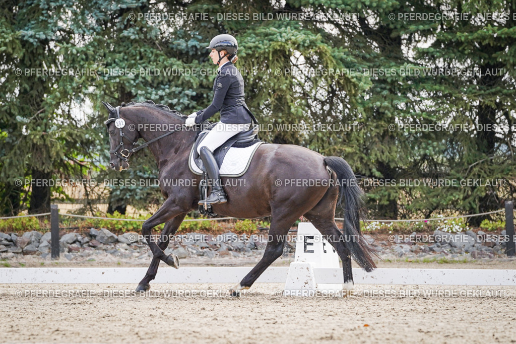 DSC00545 | Pferdegrafie