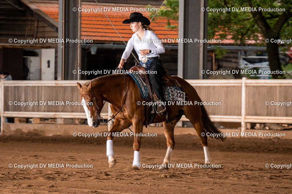 Erbach Tag 2-1010 | dv-media-shop - Realisiert mit Pictrs.com