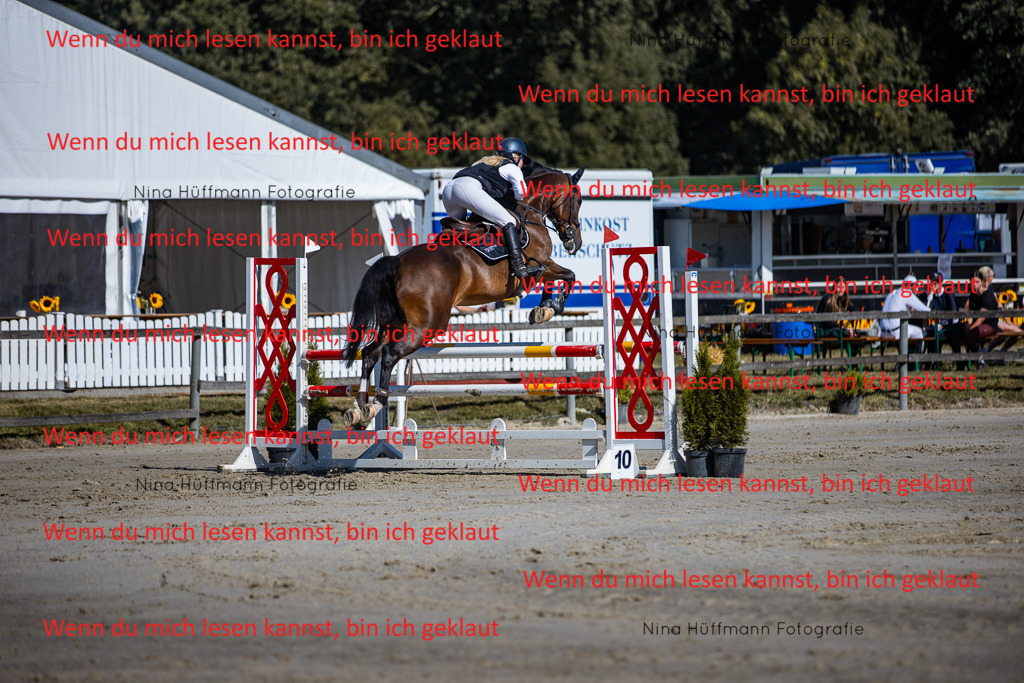 BK1A5709 | Turnierbilder Turnierfotos Nina Hüffmann Turnierfotografie Pferdefotografie Tierzeichnung Haustierzeichnung Pferdezeichnung Hundezeichnung Videograf  - Realisiert mit Pictrs.com