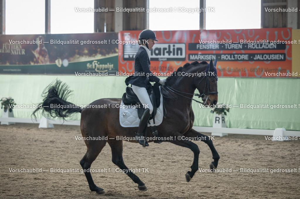 _D5A4328 | Emotionale Pferde- & People-Fotografie rund um Heidelberg, Leimen & Umgebung. Natürliche Fotos von Pferd, Mensch & Familie. Jetzt Termin sichern!