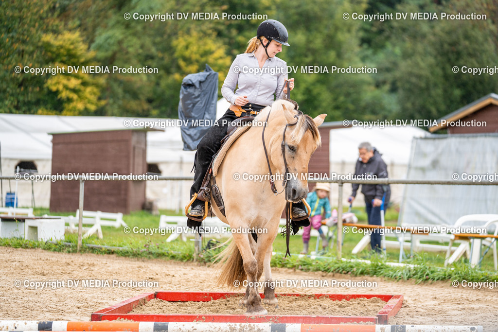 LM Heiligenwald Tag 3-559 | dv-media-shop - Realisiert mit Pictrs.com