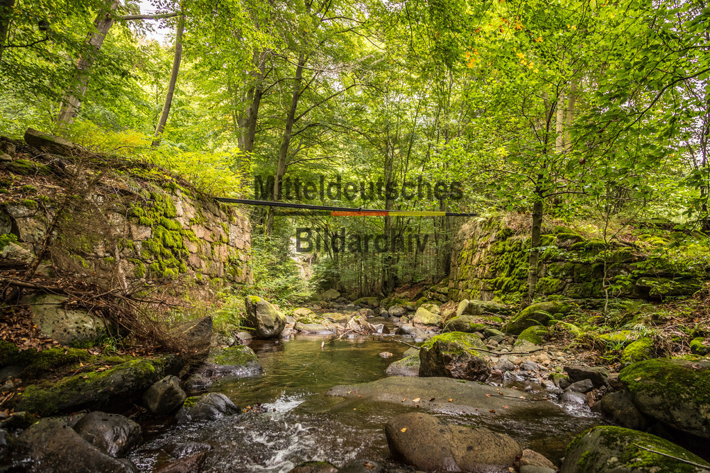 innerdeutsche Grenze Grünes Band Brocken Ilsenburg Eckerntal-0140 | Die innerdeutsche deutsch-deutsche Grenze, das Grüne Band - Realisiert mit Pictrs.com