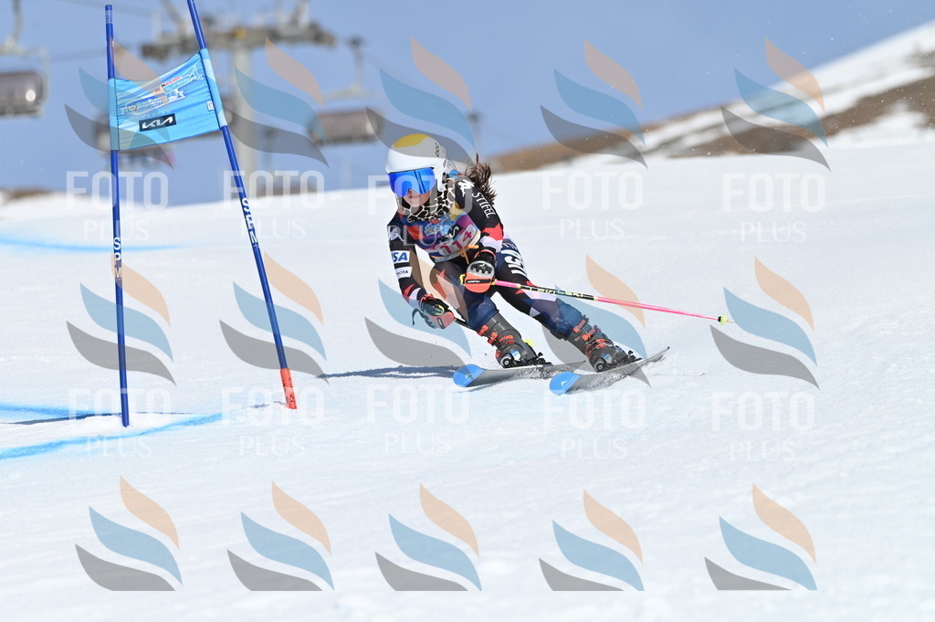 BGV_9704 | holidayphoto