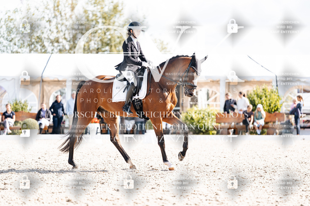 CK902321 | Turnierfotografie Pferdefotografie Trier Rheinland-Pfalz Pferdesport Reitsport Tierfotografie Sportfotografie Pferdevideo Pferdevideografie Equestrianvideography equestrianphotography  - Realisiert mit Pictrs.com