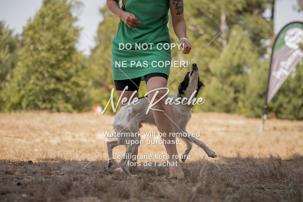 nelerasche_soDD2_432 | nelerasche