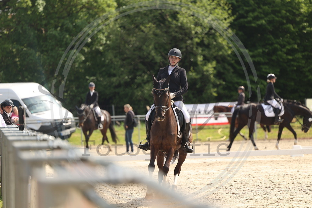 994A6556 | sabrinanicolaifotografie - Realisiert mit Pictrs.com