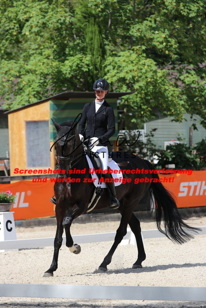 IMG_5307 | lmwpictures - Realisiert mit Pictrs.com