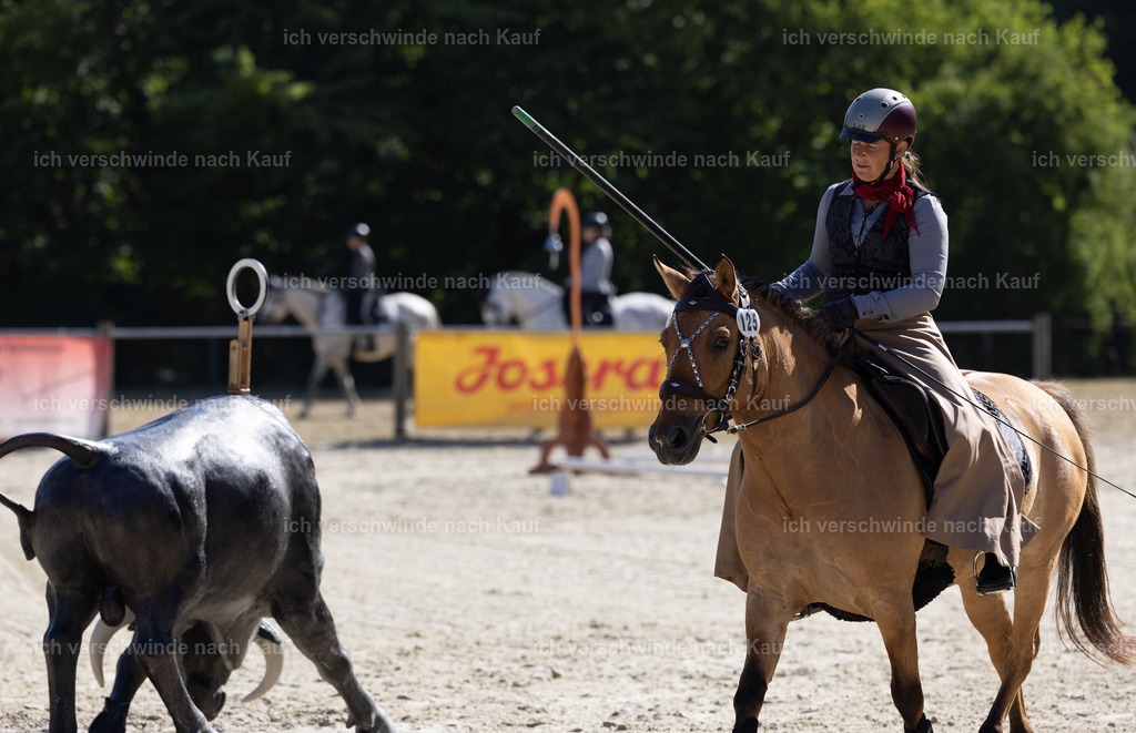 WA_Trail_125_KerstinBernhardt-8 | working equitationturnier fotograf videograf stoibphotography marixx film working equitation deutschland reitsport turnierfotografie eventfotografie equestrian events