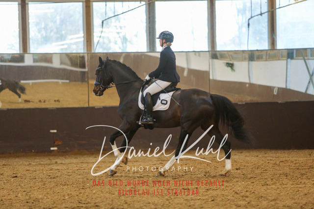 IMG_7240 | Turniersportfotografie; Pferdefotografie; Dressurfotografie